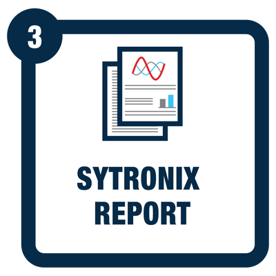 Sytronix Report