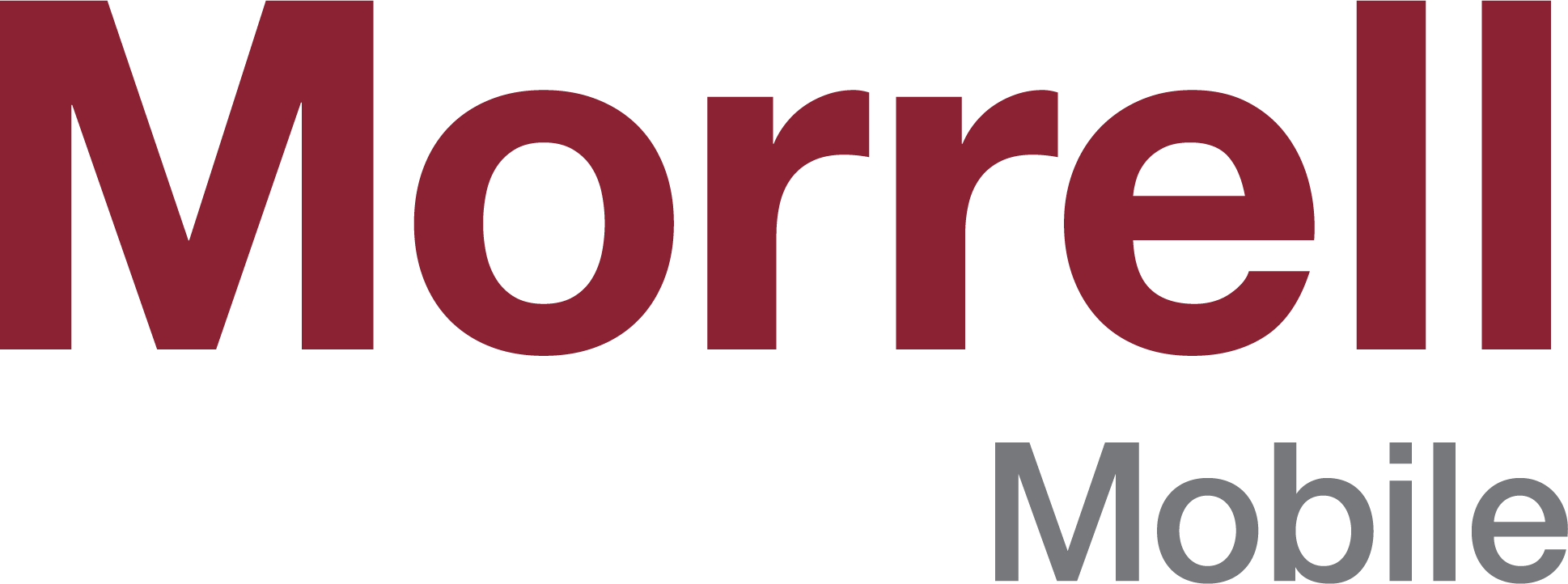 Morrell Group Advanced Motion Control for Industrial and Mobile